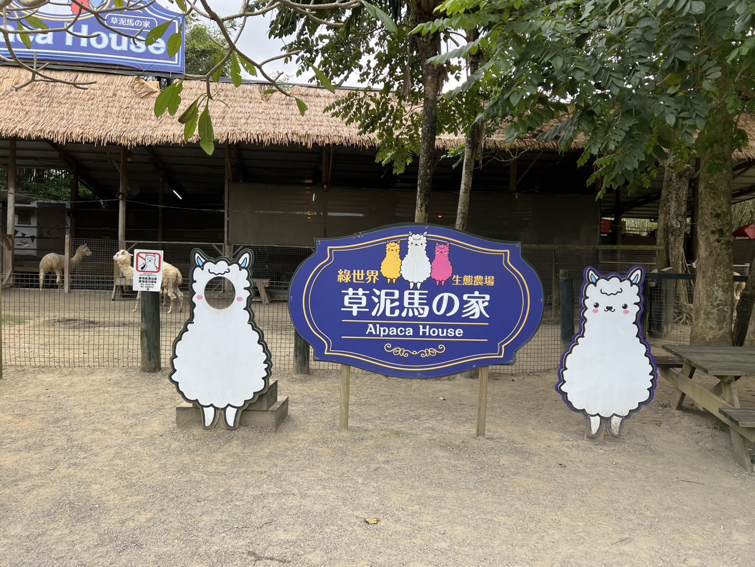 新竹親子景點推薦【綠世界生態農場】超好玩！可愛動物、生態園區一次滿足～