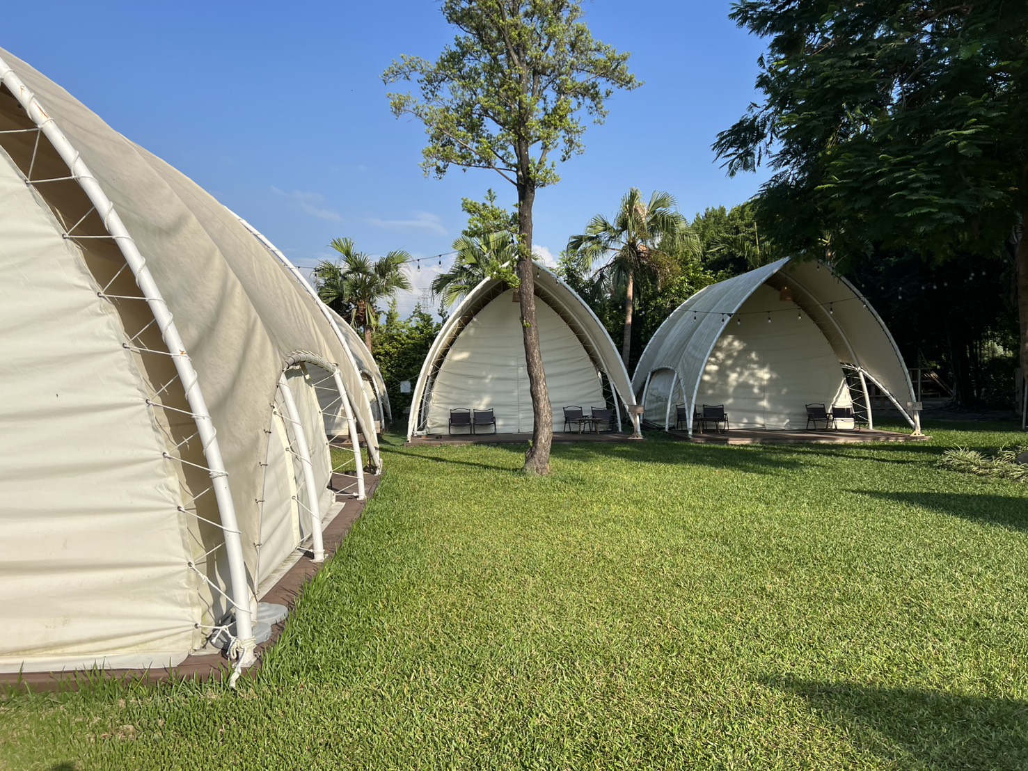 彰化【哈比雪兒】親子懶人露營首選！一泊三食＋大帳棚＋小火車溜滑梯，玩到不想回家！